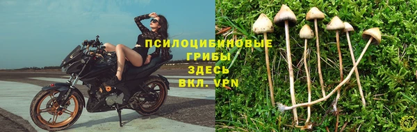 кокаин колумбия Алексеевка