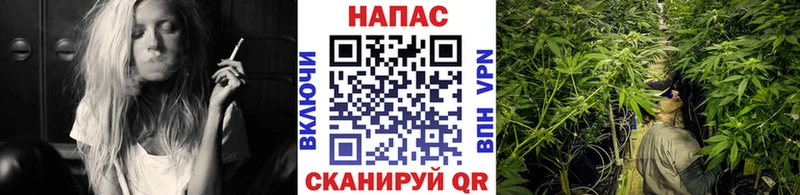 МАРИХУАНА ГИДРОПОН  Добрянка 